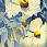 Шерстяной ковер Hunnu Цветы 6A1530 001